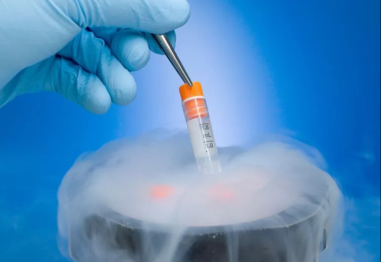 Egg Freezing: Preserving Fertility for the Future with Confidence and Choice